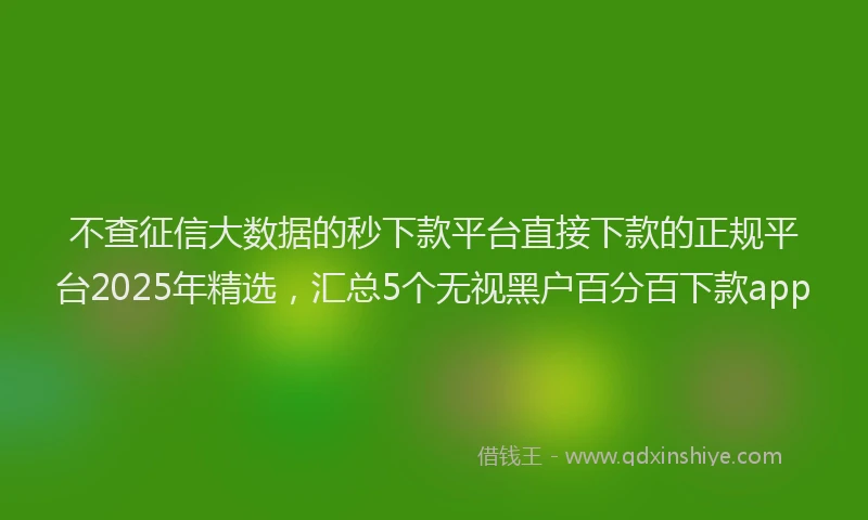 不查征信大数据的秒下款平台直接下款的正规平台2025年精选，汇总5个无视黑户百分百下款app