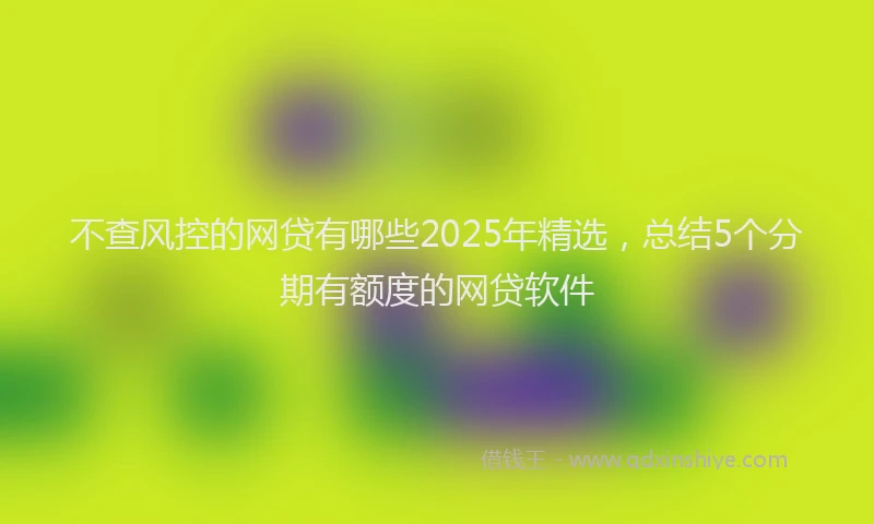 不查风控的网贷有哪些2025年精选，总结5个分期有额度的网贷软件