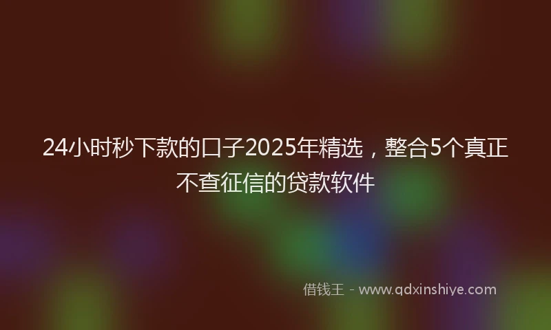 24小时秒下款的口子2025年精选，整合5个真正不查征信的贷款软件