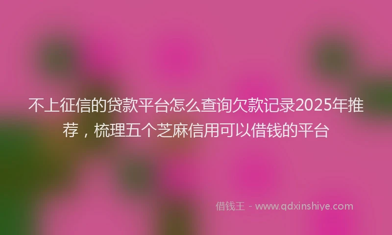 不上征信的贷款平台怎么查询欠款记录2025年推荐，梳理五个芝麻信用可以借钱的平台