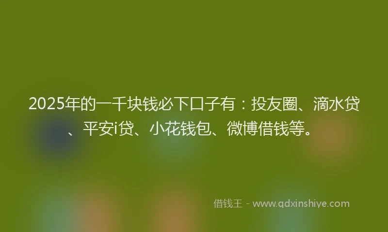 2025年的一千块钱必下口子有：投友圈、滴水贷、平安i贷、小花钱包、微博借钱等。