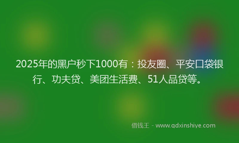 2025年的黑户秒下1000有：投友圈、平安口袋银行、功夫贷、美团生活费、51人品贷等。