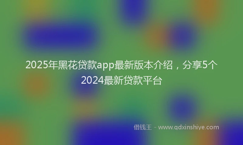 2025年黑花贷款app最新版本介绍，分享5个2024最新贷款平台