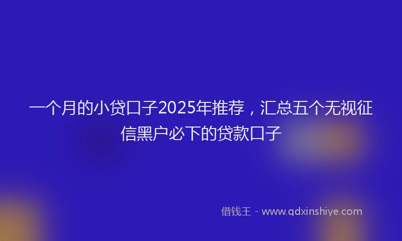 一个月的小贷口子2025年推荐，汇总五个无视征信黑户必下的贷款口子