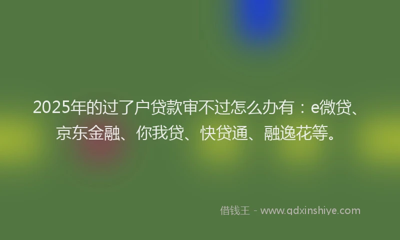 2025年的过了户贷款审不过怎么办有：e微贷、京东金融、你我贷、快贷通、融逸花等。