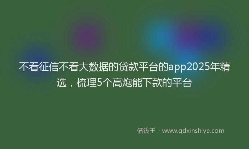 不看征信不看大数据的贷款平台的app2025年精选，梳理5个高炮能下款的平台