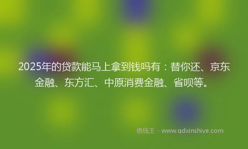 2025年的贷款能马上拿到钱吗有：替你还、京东金融、东方汇、中原消费金融、省呗等。