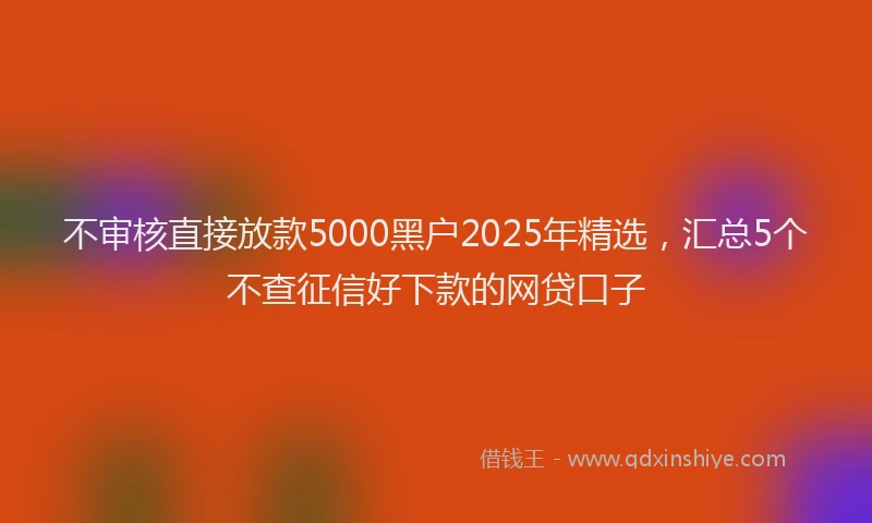不审核直接放款5000黑户2025年精选，汇总5个不查征信好下款的网贷口子