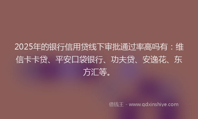 2025年的银行信用贷线下审批通过率高吗有：维信卡卡贷、平安口袋银行、功夫贷、安逸花、东方汇等。