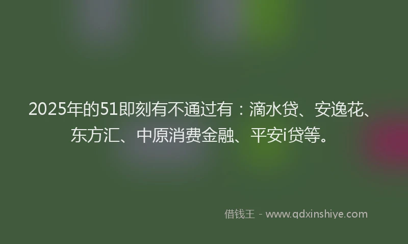 2025年的51即刻有不通过有：滴水贷、安逸花、东方汇、中原消费金融、平安i贷等。