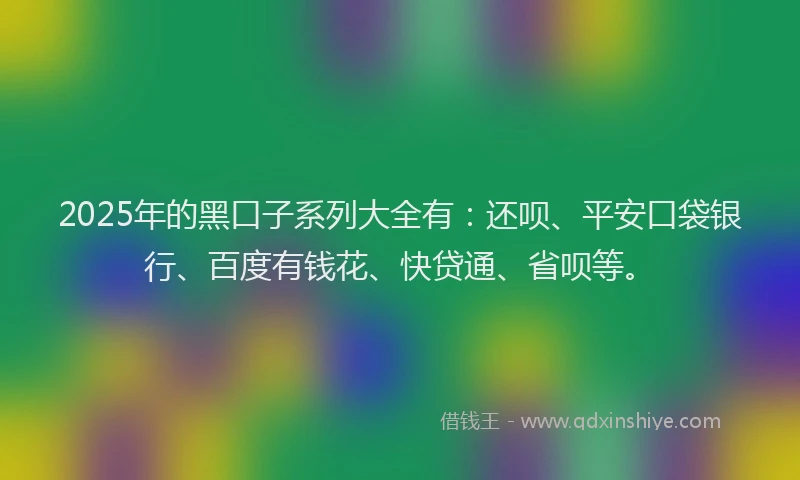 2025年的黑口子系列大全有：还呗、平安口袋银行、百度有钱花、快贷通、省呗等。