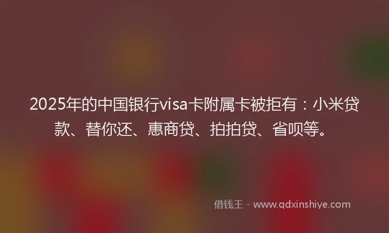 2025年的中国银行visa卡附属卡被拒有：小米贷款、替你还、惠商贷、拍拍贷、省呗等。