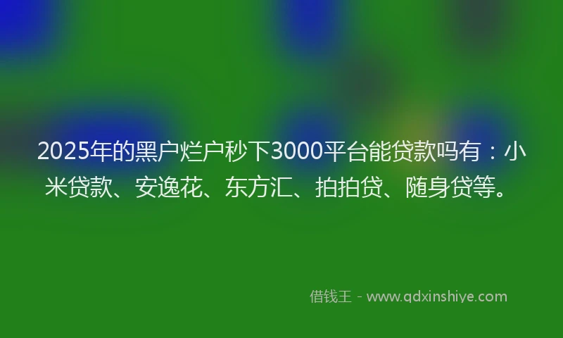 2025年的黑户烂户秒下3000平台能贷款吗有：小米贷款、安逸花、东方汇、拍拍贷、随身贷等。