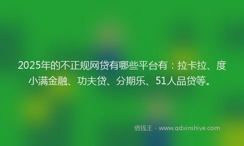2025年的不正规网贷有哪些平台有：拉卡拉、度小满金融、功夫贷、分期乐、51人品贷等。