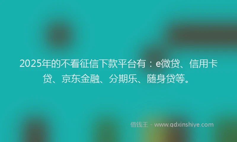 2025年的不看征信下款平台有：e微贷、信用卡贷、京东金融、分期乐、随身贷等。