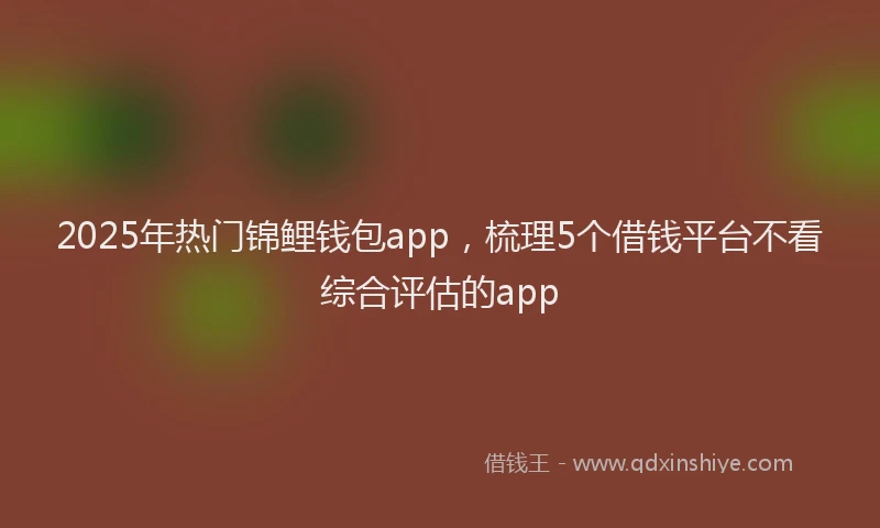 2025年热门锦鲤钱包app，梳理5个借钱平台不看综合评估的app