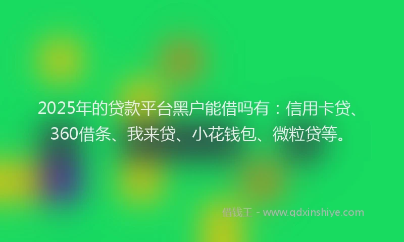 2025年的贷款平台黑户能借吗有：信用卡贷、360借条、我来贷、小花钱包、微粒贷等。