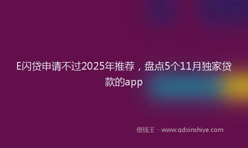 E闪贷申请不过2025年推荐，盘点5个11月独家贷款的app