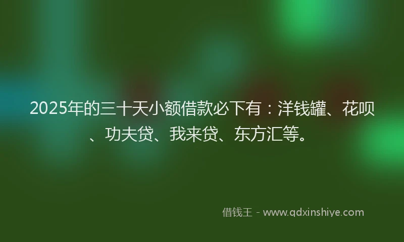 2025年的三十天小额借款必下有：洋钱罐、花呗、功夫贷、我来贷、东方汇等。