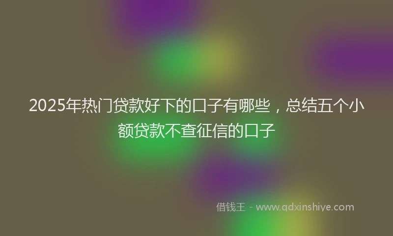 2025年热门贷款好下的口子有哪些，总结五个小额贷款不查征信的口子