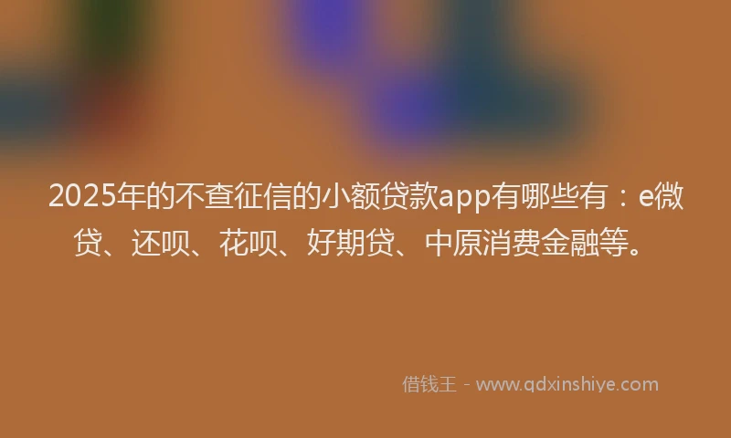 2025年的不查征信的小额贷款app有哪些有：e微贷、还呗、花呗、好期贷、中原消费金融等。