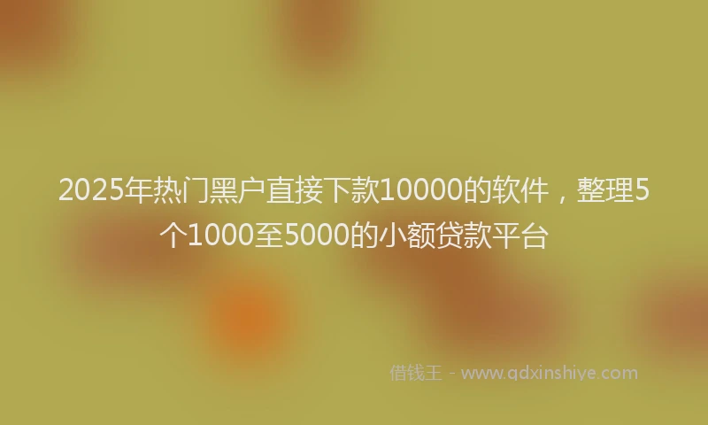 2025年热门黑户直接下款10000的软件，整理5个1000至5000的小额贷款平台