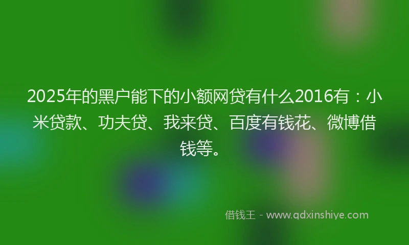 2025年的黑户能下的小额网贷有什么2016有：小米贷款、功夫贷、我来贷、百度有钱花、微博借钱等。
