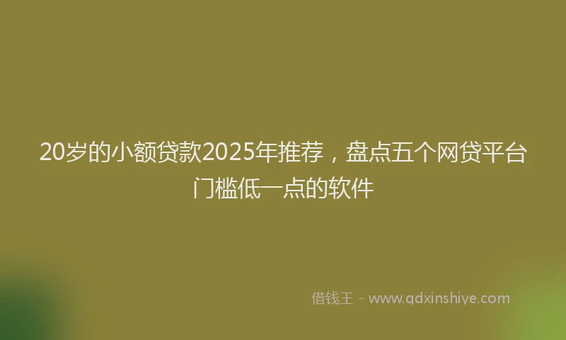 20岁的小额贷款2025年推荐，盘点五个网贷平台门槛低一点的软件