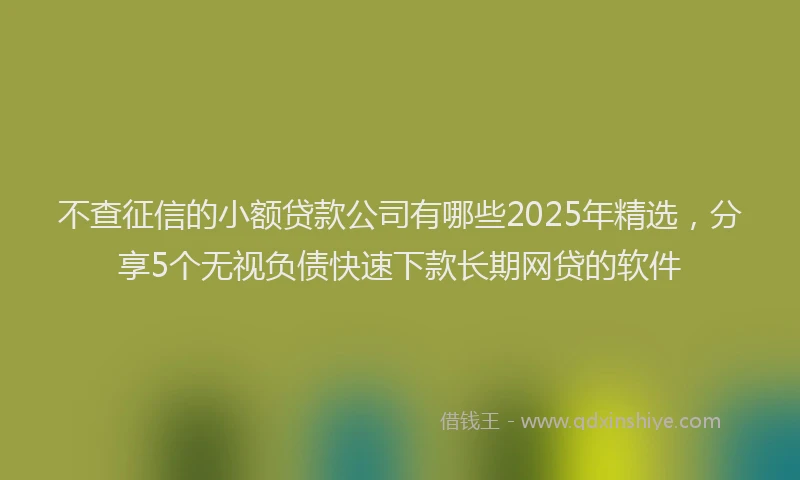 不查征信的小额贷款公司有哪些2025年精选，分享5个无视负债快速下款长期网贷的软件