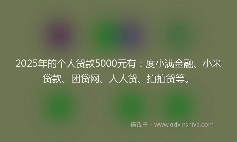 2025年的个人贷款5000元有：度小满金融、小米贷款、团贷网、人人贷、拍拍贷等。