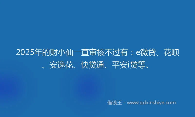 2025年的财小仙一直审核不过有：e微贷、花呗、安逸花、快贷通、平安i贷等。