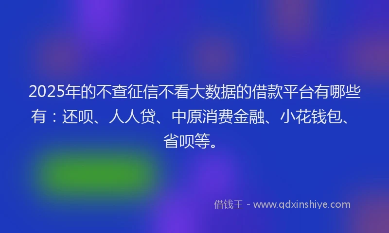 2025年的不查征信不看大数据的借款平台有哪些有：还呗、人人贷、中原消费金融、小花钱包、省呗等。