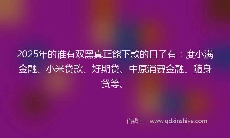 2025年的谁有双黑真正能下款的口子有：度小满金融、小米贷款、好期贷、中原消费金融、随身贷等。