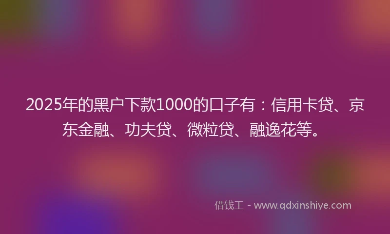 2025年的黑户下款1000的口子有：信用卡贷、京东金融、功夫贷、微粒贷、融逸花等。
