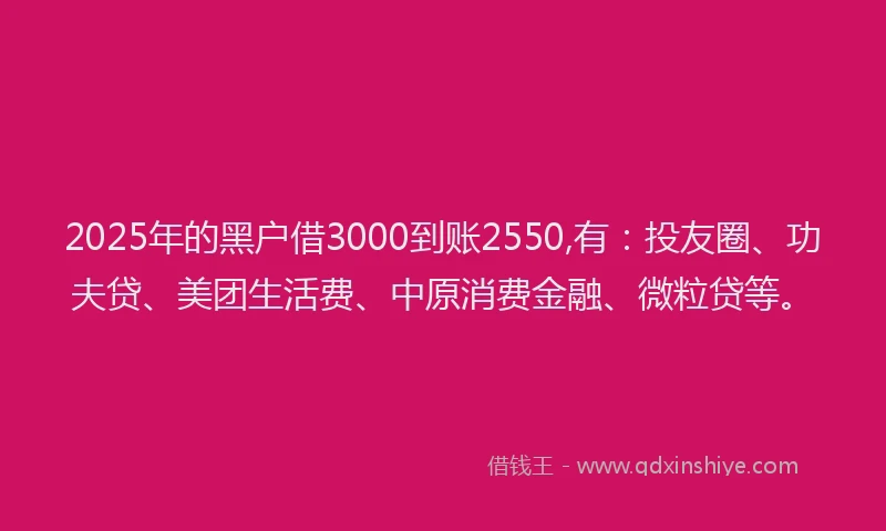 2025年的黑户借3000到账2550,有：投友圈、功夫贷、美团生活费、中原消费金融、微粒贷等。