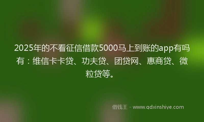 2025年的不看征信借款5000马上到账的app有吗有：维信卡卡贷、功夫贷、团贷网、惠商贷、微粒贷等。