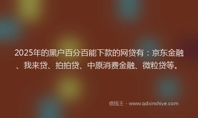 2025年的黑户百分百能下款的网贷有：京东金融、我来贷、拍拍贷、中原消费金融、微粒贷等。