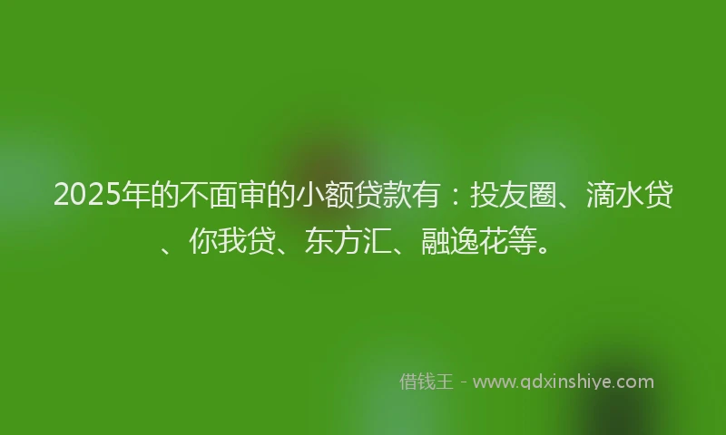 2025年的不面审的小额贷款有：投友圈、滴水贷、你我贷、东方汇、融逸花等。