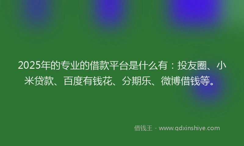 2025年的专业的借款平台是什么有：投友圈、小米贷款、百度有钱花、分期乐、微博借钱等。