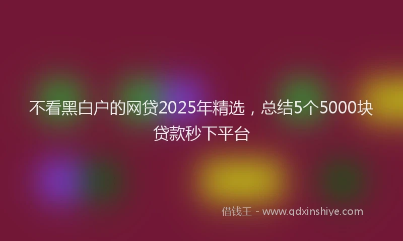 不看黑白户的网贷2025年精选，总结5个5000块贷款秒下平台