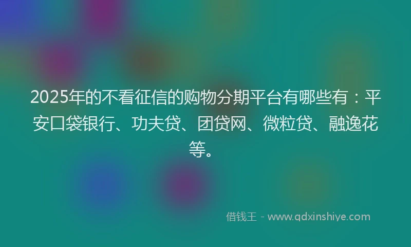 2025年的不看征信的购物分期平台有哪些有：平安口袋银行、功夫贷、团贷网、微粒贷、融逸花等。