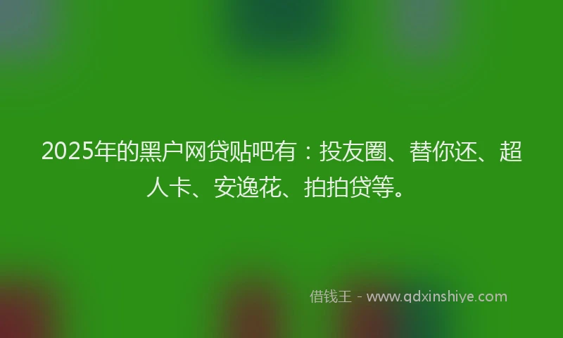2025年的黑户网贷贴吧有：投友圈、替你还、超人卡、安逸花、拍拍贷等。