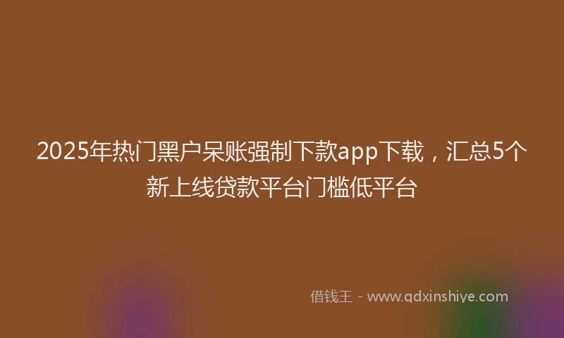 2025年热门黑户呆账强制下款app下载，汇总5个新上线贷款平台门槛低平台