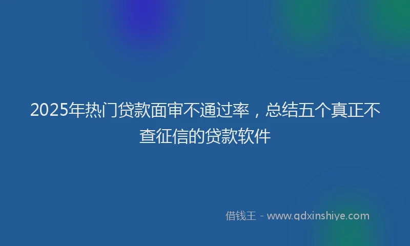 2025年热门贷款面审不通过率，总结五个真正不查征信的贷款软件