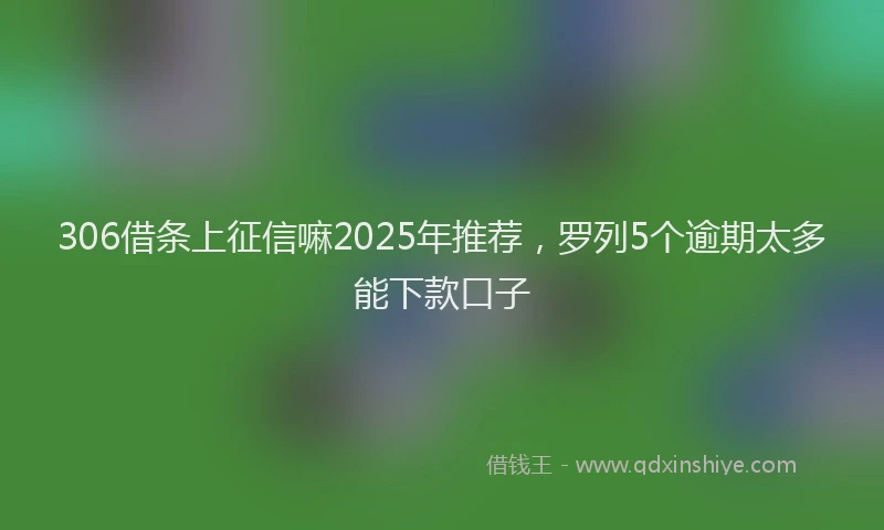 306借条上征信嘛2025年推荐，罗列5个逾期太多能下款口子