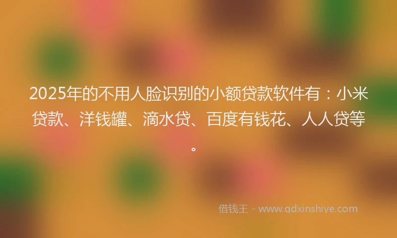 2025年的不用人脸识别的小额贷款软件有：小米贷款、洋钱罐、滴水贷、百度有钱花、人人贷等。