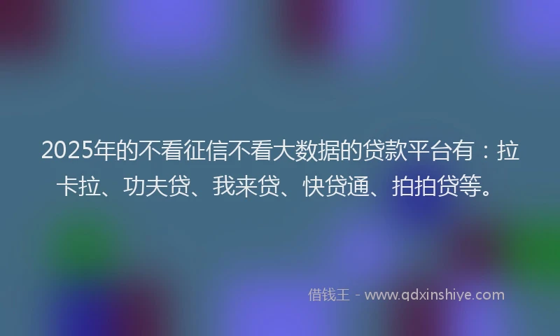 2025年的不看征信不看大数据的贷款平台有：拉卡拉、功夫贷、我来贷、快贷通、拍拍贷等。
