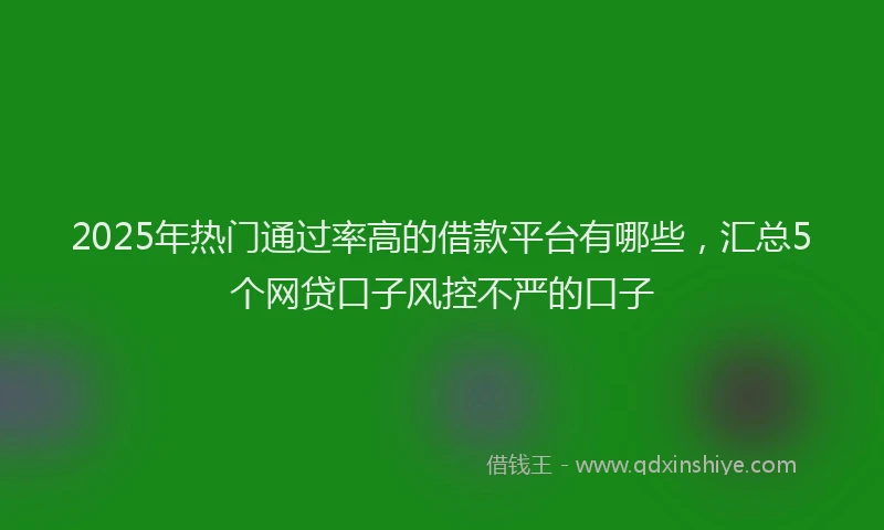 2025年热门通过率高的借款平台有哪些，汇总5个网贷口子风控不严的口子