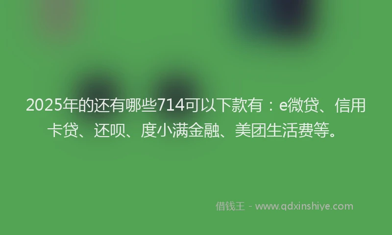 2025年的还有哪些714可以下款有：e微贷、信用卡贷、还呗、度小满金融、美团生活费等。