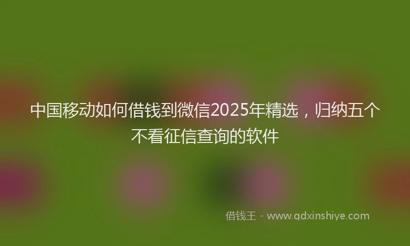 中国移动如何借钱到微信2025年精选，归纳五个不看征信查询的软件